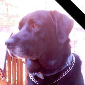 Meet your Posher, Vickie